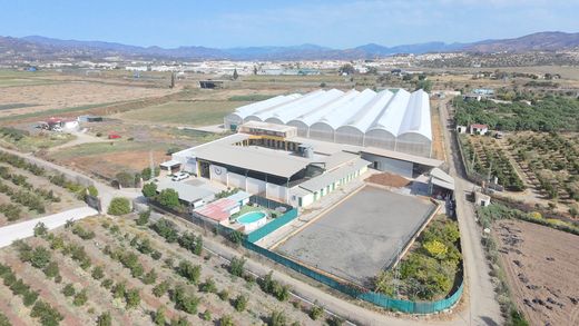 Boerderij in Torre del Mar, Provincia de Málaga
