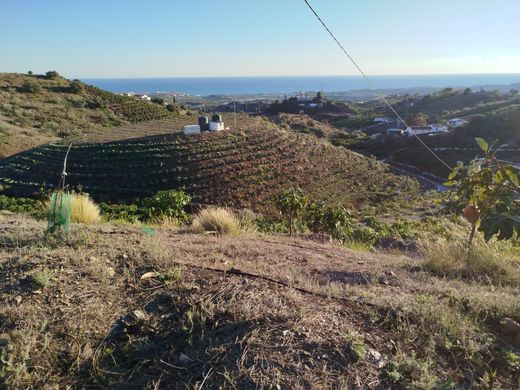 Grond in Mendiola, Gipuzkoa