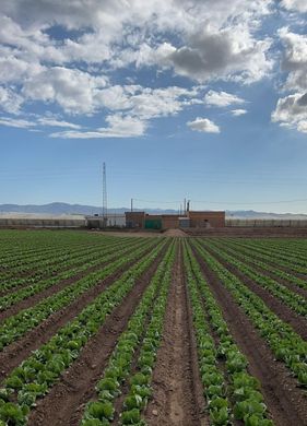 Grundstück in Níjar, Almería