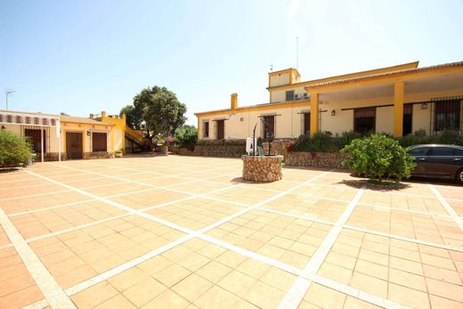 Boerderij in Alcuéscar, Provincia de Cáceres