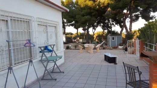 Rural or Farmhouse in Torrevieja, Alicante