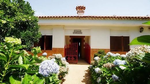 Einfamilienhaus in Valleseco, Provinz Las Palmas