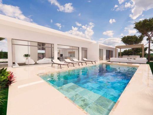 Villa a Pilar de la Horadada, Provincia de Alicante