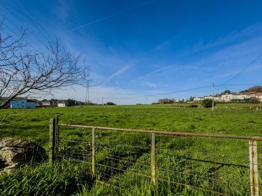 Arsa Arce, Provincia de Cantabria