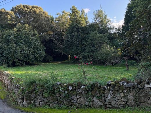 Terreno en Ruiloba, Cantabria