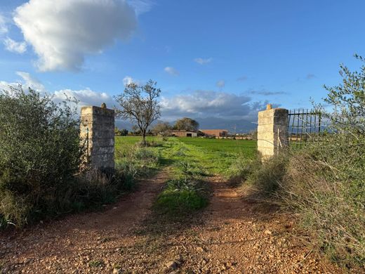 Sencelles, Illes Balearsのカントリー風またはファームハウス