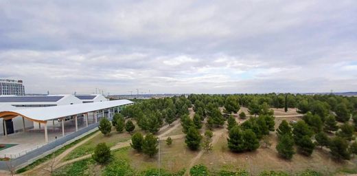 Penthouse in Madrid, Province of Madrid