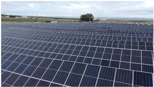 Terreno - Algorfa, Provincia de Alicante