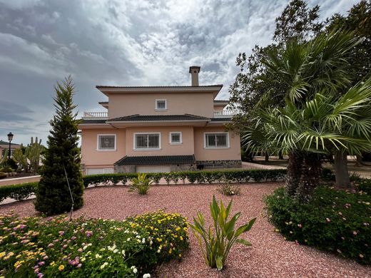 Частный Дом, Эльч, Provincia de Alicante