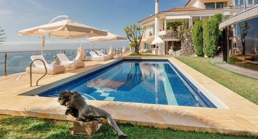 Detached House in Santa Úrsula, Province of Santa Cruz de Tenerife