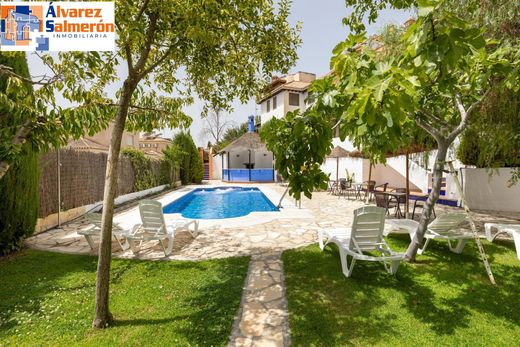 호화 저택 / Granada, Provincia de Granada