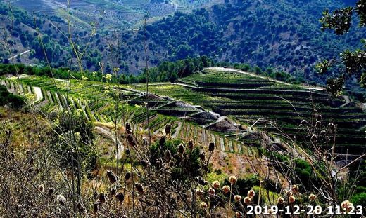Terreno a Falset, Província de Tarragona