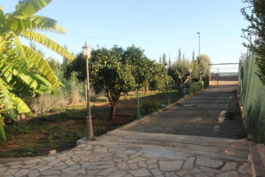 전원/농가 / Cartagena, Murcia