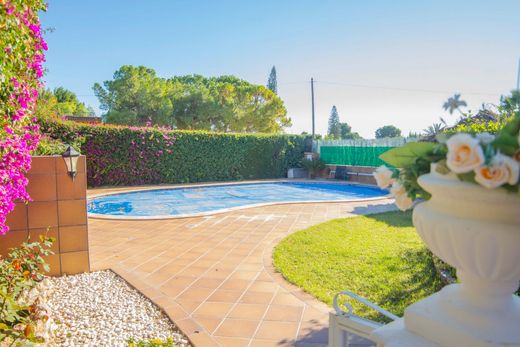 Detached House in Elche, Alicante