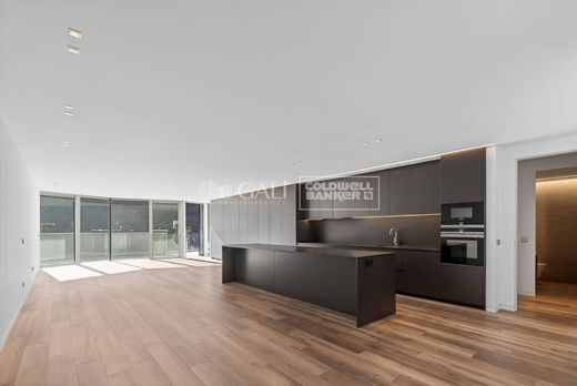 Apartment / Etagenwohnung in Andorra la Vella