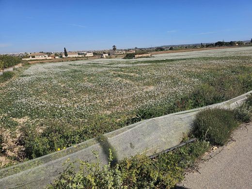 Terreno - Los Montesinos, Provincia de Alicante