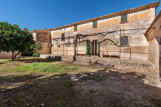 Rustykalny lub Wiejski w Algaida, Illes Balears