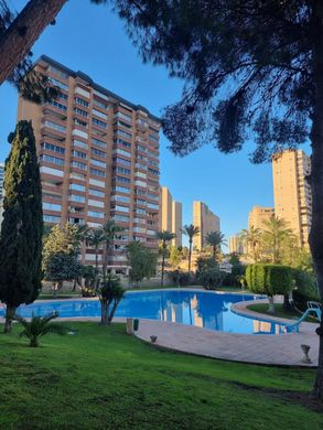 Appartamento a Benidorm, Provincia de Alicante