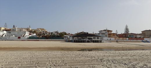 Almonte, Provincia de Huelvaの土地