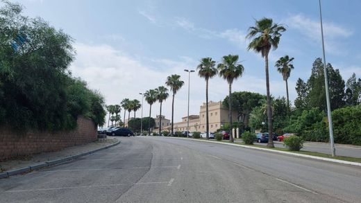 Land in Jerez de la Frontera, Cadiz