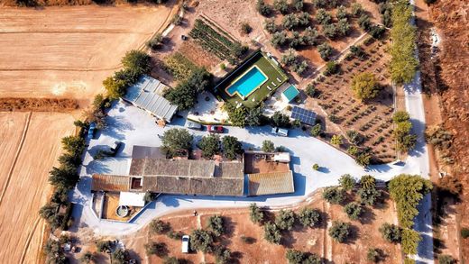 Rural or Farmhouse in Caniles, Granada