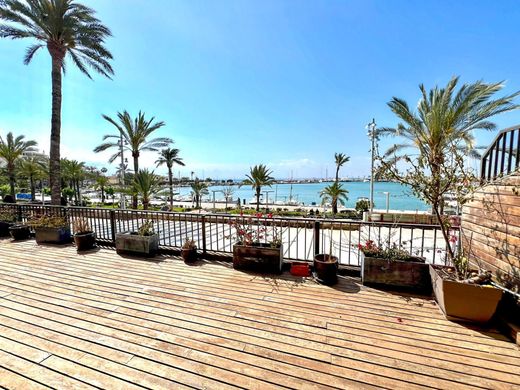Apartment in Alcúdia, Province of Balearic Islands