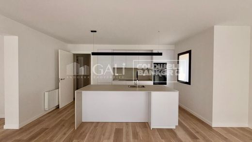 Apartment in Andorra la Vella