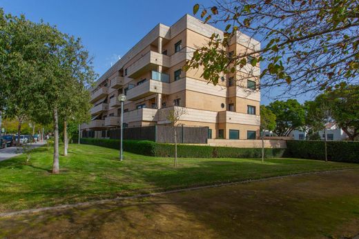 Penthouse in Jerez de la Frontera, Cadiz