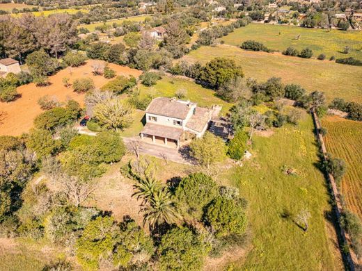 Rural ou fazenda - Algaida, Ilhas Baleares