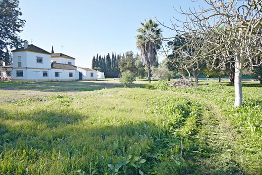 Усадьба / Сельский дом, Jerez de la Frontera, Provincia de Cádiz