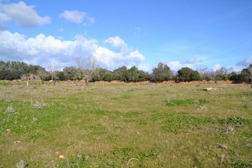 ‏בתים כפריים או חוות ב  Manacor, Illes Balears