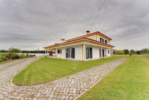 Detached House in Oliveira do Bairro, Aveiro