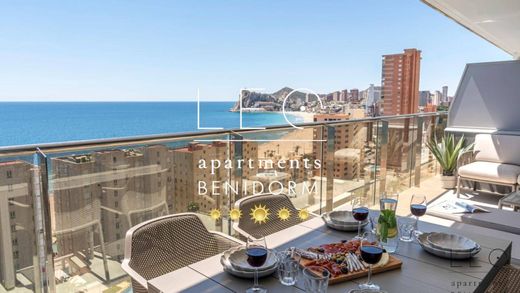 Apartamento - Benidorm, Provincia de Alicante