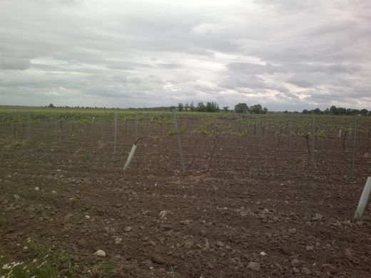 Grundstück in Tomelloso, Ciudad Real