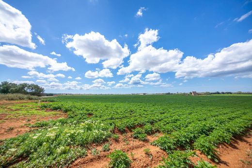 Усадьба / Сельский дом, Пальма-де-Майорка, Illes Balears
