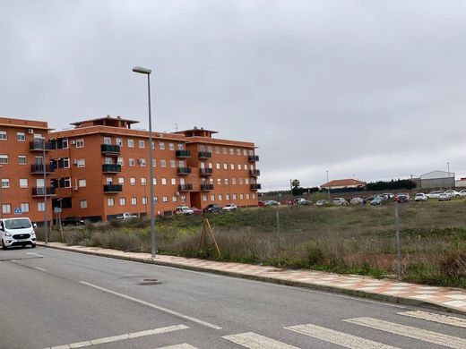 Almendralejo, バダホスの土地