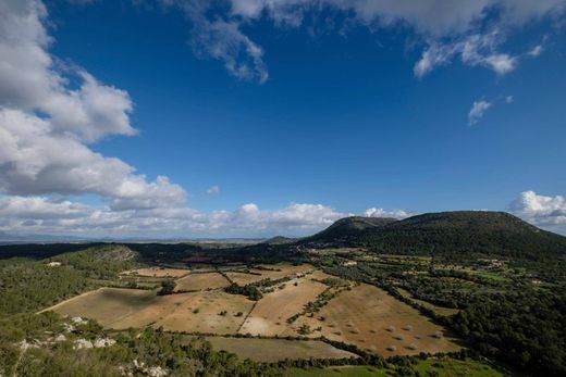 Terreno en Palma de Mallorca, Islas Baleares