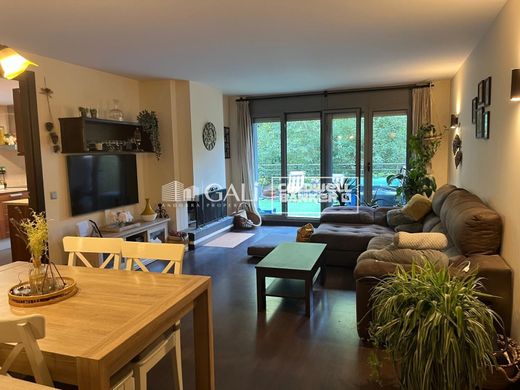 Apartment in La Massana