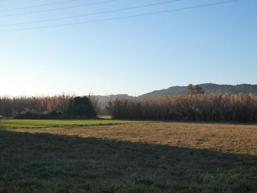 Arsa Palamós, Província de Girona