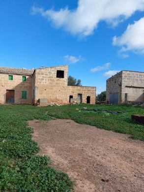 ‏בתים כפריים או חוות ב  Algaida, Illes Balears