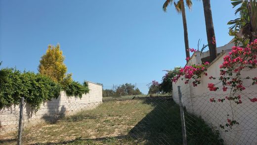 Land in Espartinas, Province of Seville