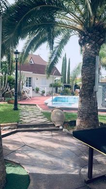 San Vicent del Raspeig, アリカンテの一戸建て住宅