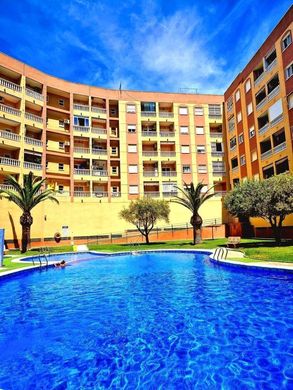 Apartment in Torrevieja, Alicante