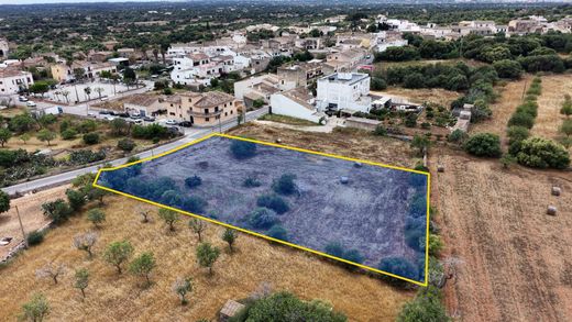 Terreno a s'Alqueria Blanca, Isole Baleari