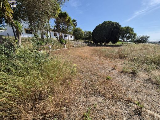 Ρουστίκ ή Αγροικίες σε Arcos de la Frontera, Provincia de Cádiz