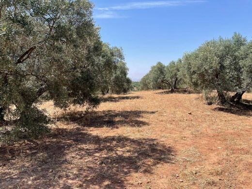 Land in Mollina, Malaga