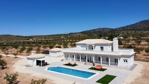 Villa en Pinoso, Provincia de Alicante
