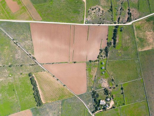 Teren w Formentera, Illes Balears