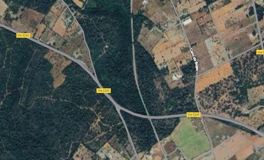 토지 / Sineu, Illes Balears