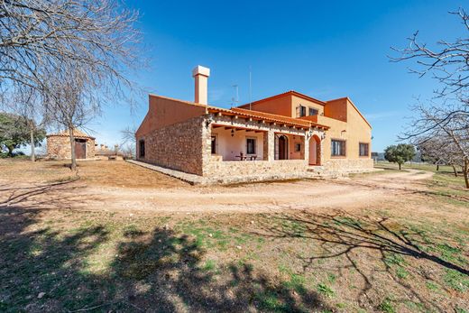 Rural or Farmhouse in Argamasilla de Alba, Ciudad Real